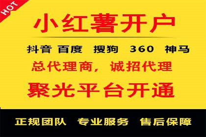 信息流广告代理项目案例分析